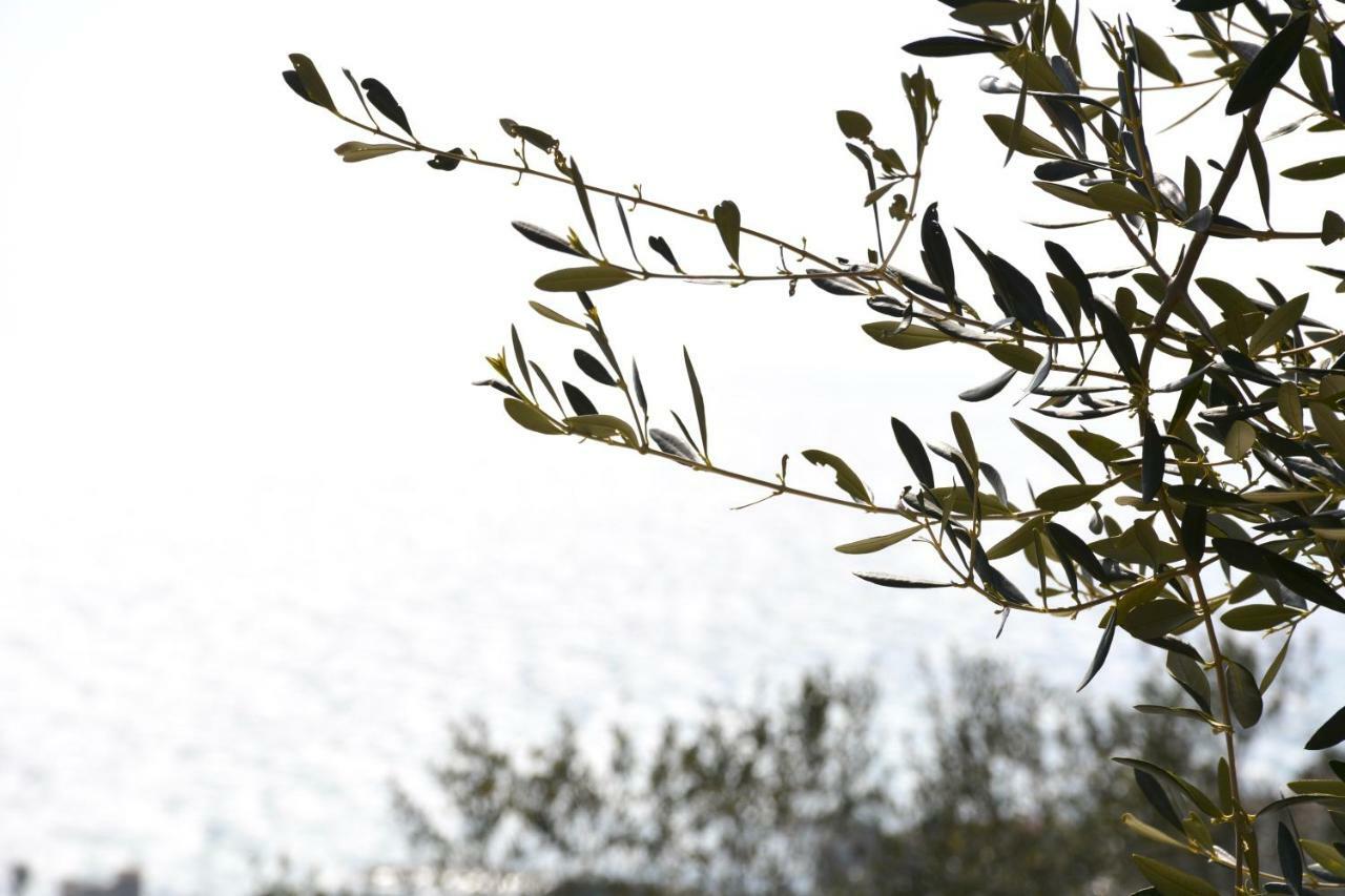 La Torretta Villa Imperia Bagian luar foto